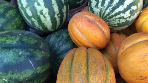 Meloni e angurie al mercato agricolo — Video Stock