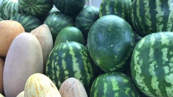 Meloni e angurie al mercato agricolo — Video Stock