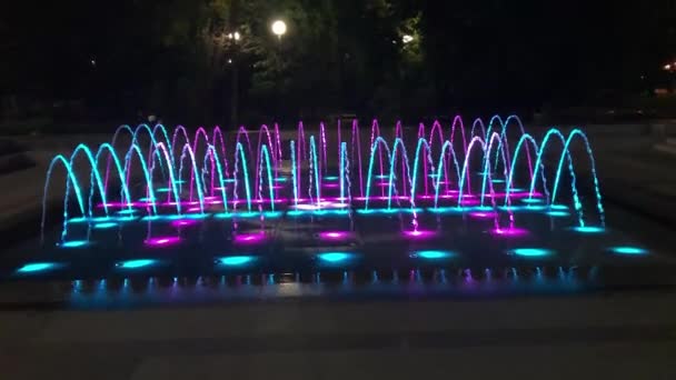 다양 한 색상의 조명 이 있는 야간 분수 — 비디오