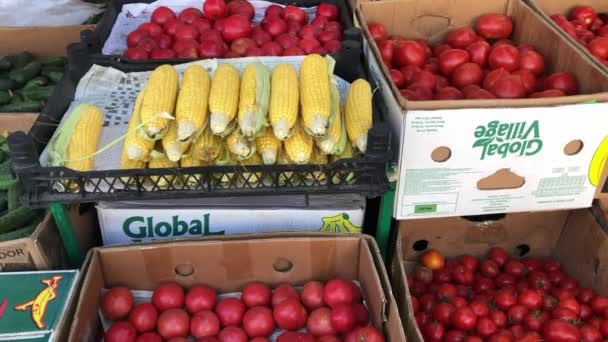 Scatole di pomodoro al mercato agricolo — Video Stock