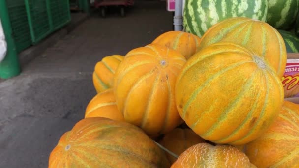 农民市场上的瓜果和西瓜 — 图库视频影像