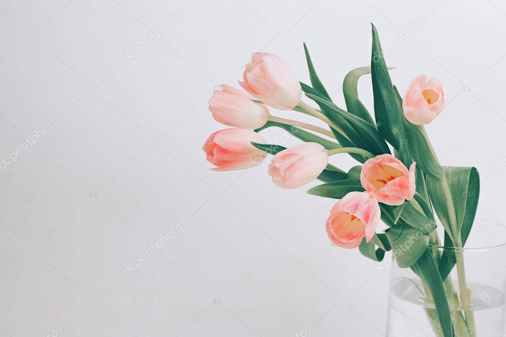 Delicate pink tulips in a glass vase. Scandinavian-style . Beautiful greeting card. The minimal concept.