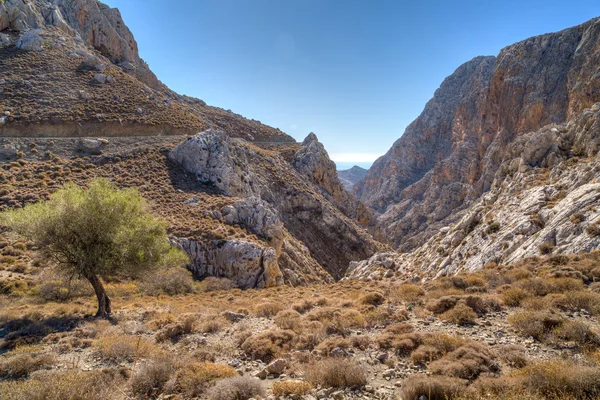 Camino de montaña pasando por escarpados acantilados rocosos —  Fotos de Stock