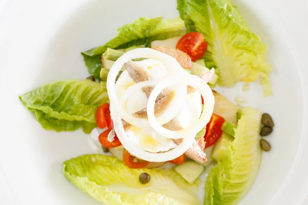 Salade nicoise Stockfoto