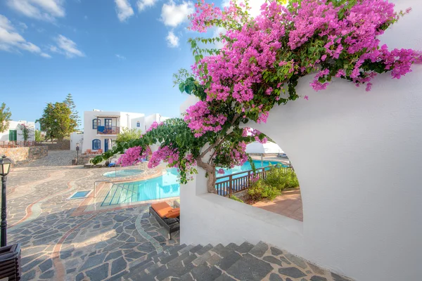 Bougainvillea flowering on a Greek villa — Stock Photo, Image