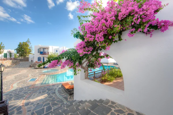 Bougainvillea bloei op een Griekse villa Stockfoto