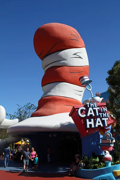 Gato en el sombrero — Foto de Stock