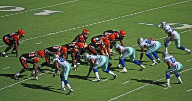 Bengals palmer topu alıyor.