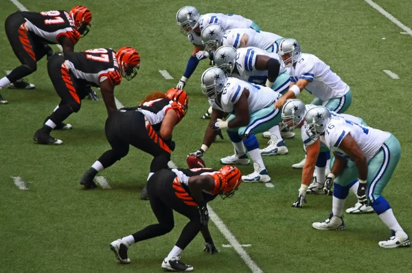 Kovboylar bengals hattı