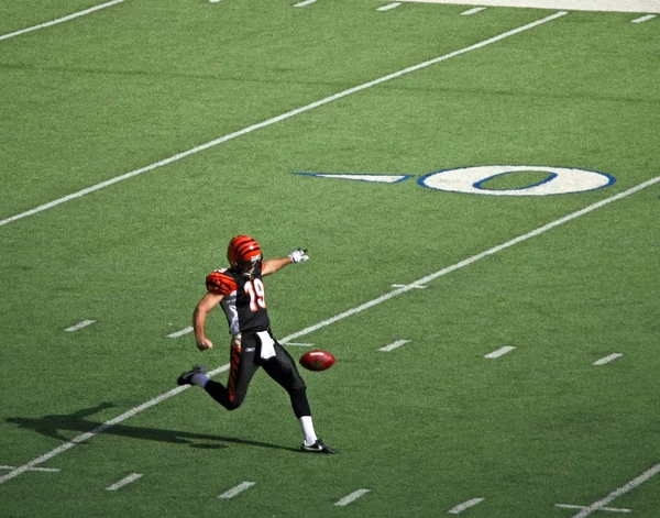 Bengals başlama