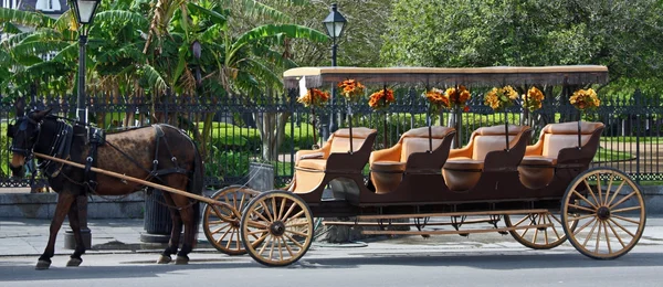 Cavalo e buggy — Fotografia de Stock