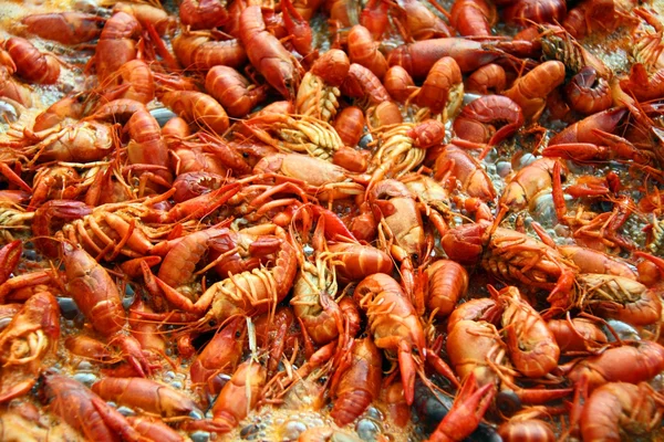 Louisiana crawfish boiling in a pot of spicy water. — Stock Photo, Image