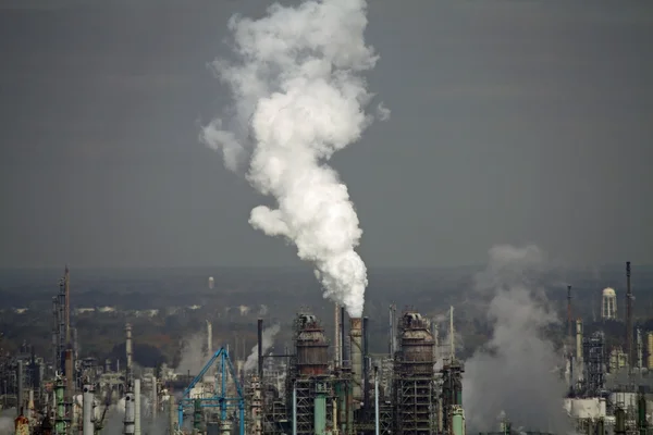 Plant Emitting Smoke — Stock Photo, Image