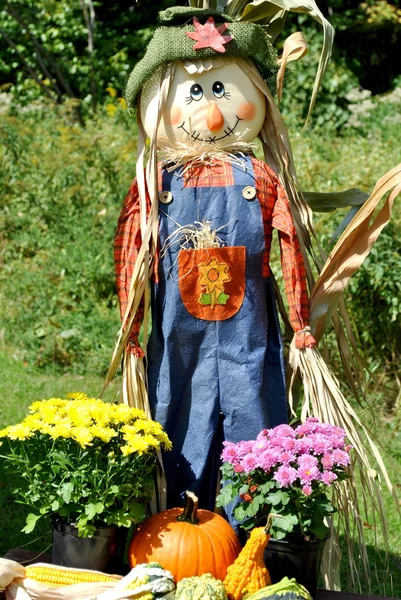Harvest Scarecrow — Stock Photo, Image