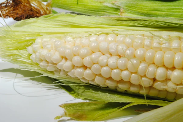 Um close-up de milho na espiga — Fotografia de Stock
