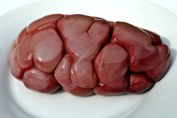 Beef Kidney — Stock Photo, Image