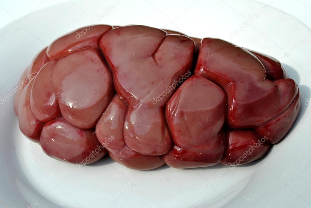 Beef Kidney — Stock Photo © bandd #39520409