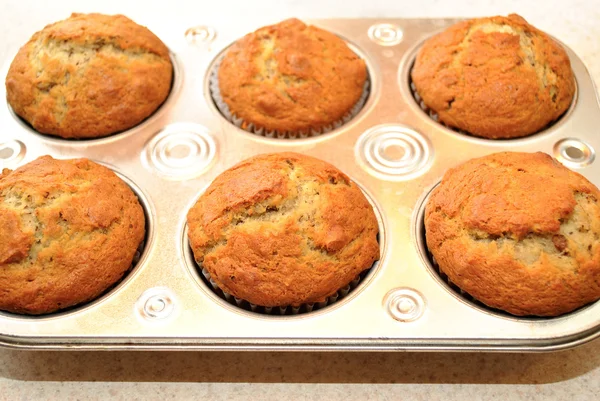 Seis maços de muffins — Fotografia de Stock