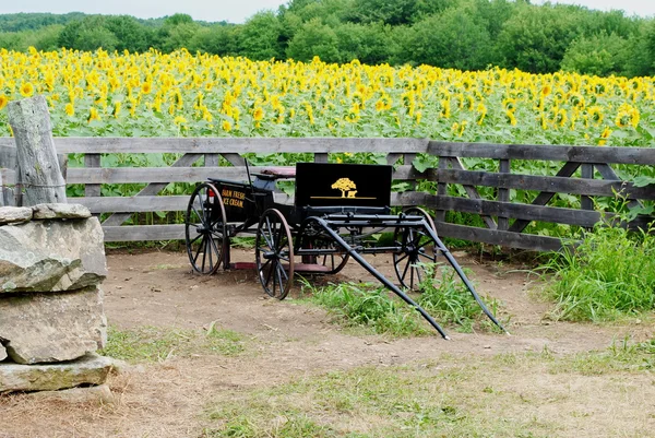 Historic Wooden Wagon — Stock Photo, Image