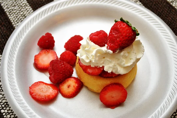 Strawberry and Raspberry Shortcake — Stock Photo, Image