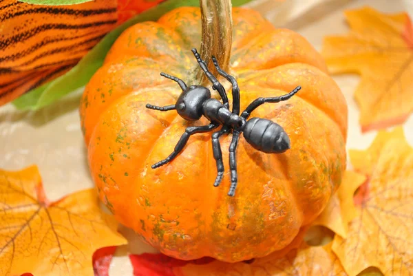 Toy Ant on a Fall Pumpkin — Stock Photo, Image