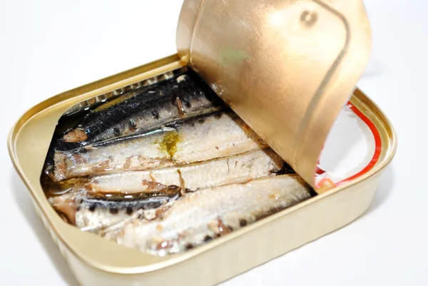 Canned Sardines — Stock Photo, Image