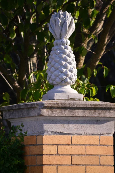 Statua dell'ananas — Foto Stock