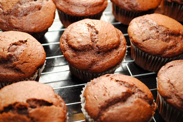 Cooling Chocolate Cupcakes — Stok Foto