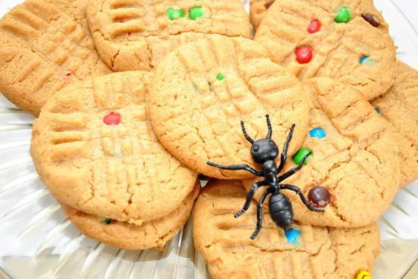 Galletas dulces con hormiga de plástico en la parte superior — Foto de Stock