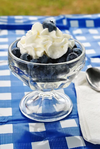 Blaubeeren-Picknick-Dessert — Stockfoto