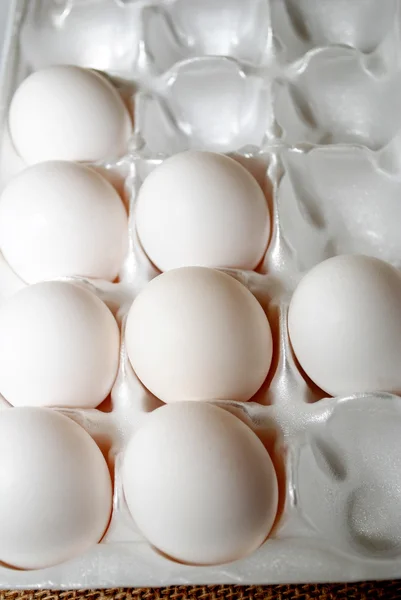 Eggs in a White Carton — Stock Photo, Image