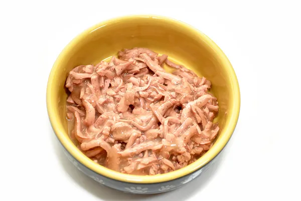 Canned Poultry Cat Food in a Bowl — Stock Photo, Image