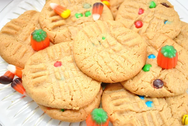 Podzim slavnostní barevné soubory cookie — Stock fotografie