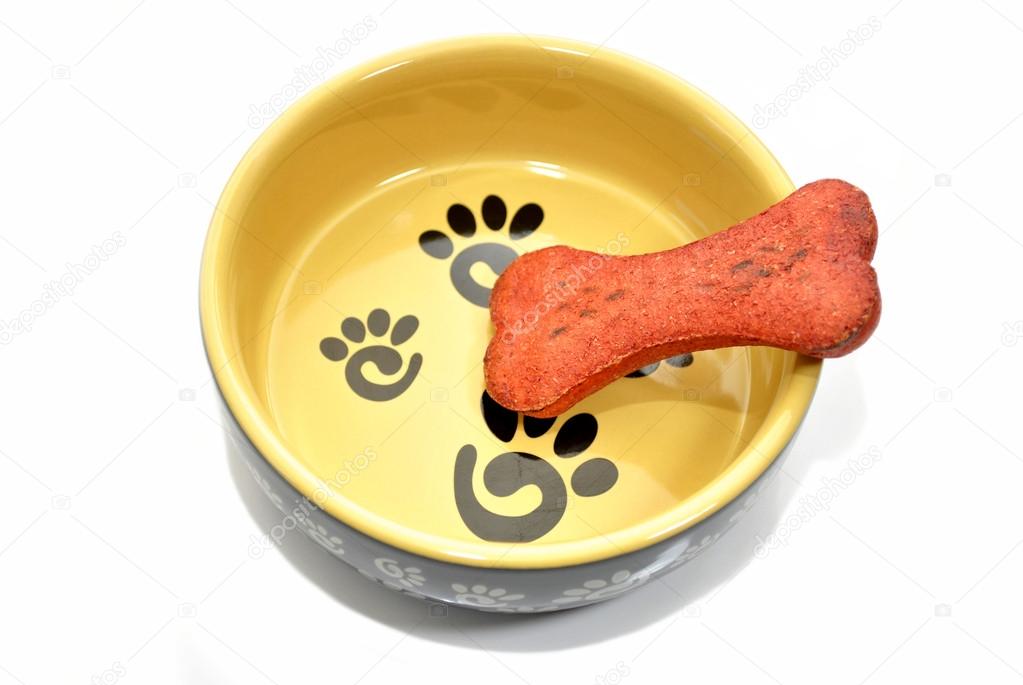 Dog Bone Biscuit in a Feeding Bowl