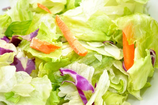 Kleurrijke voorjaar salade — Stockfoto