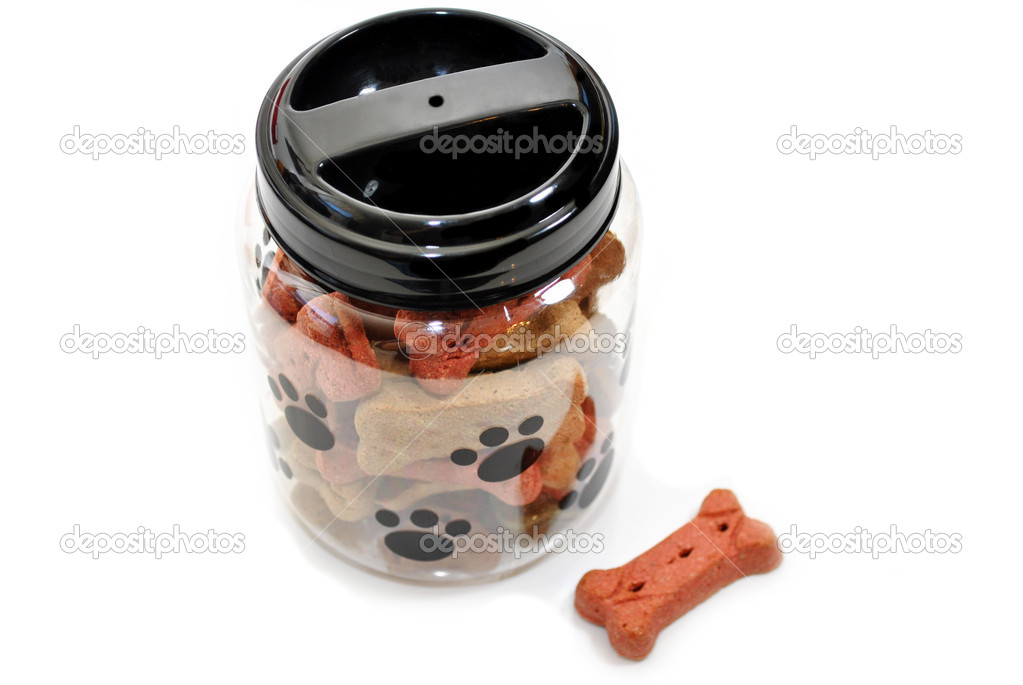 Jar of Doggy Treats