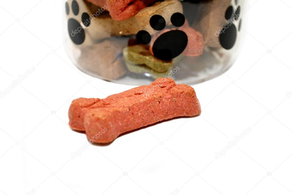 Dog Biscuit in Front of a Jar of Biscuits