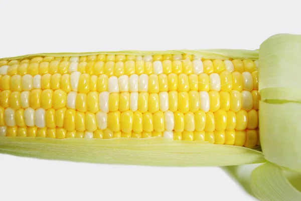 Frischer Bio-Mais auf dem Maiskolben — Stockfoto