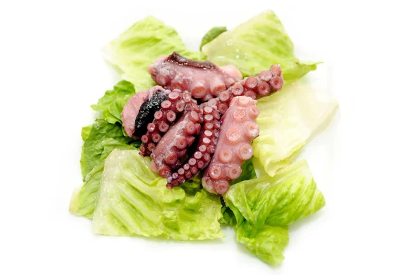 Een amuse van vers gekookte Octopus tentakels — Stockfoto