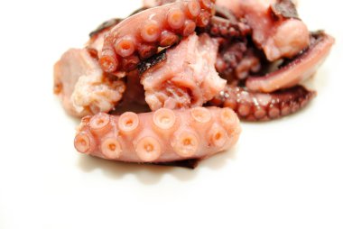 Kıyılmış ahtapot Tentacles beyaz bitti izole