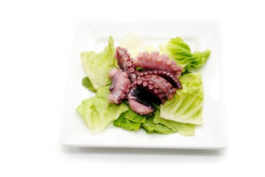 Ahtapot dokunaç meze ile Romain marul