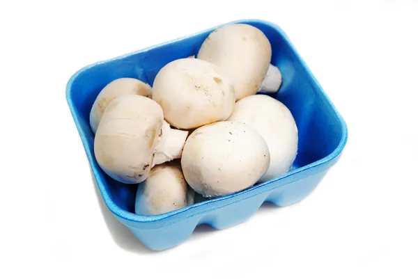 White Mushrooms in a Blue Market Container — Stock Photo, Image