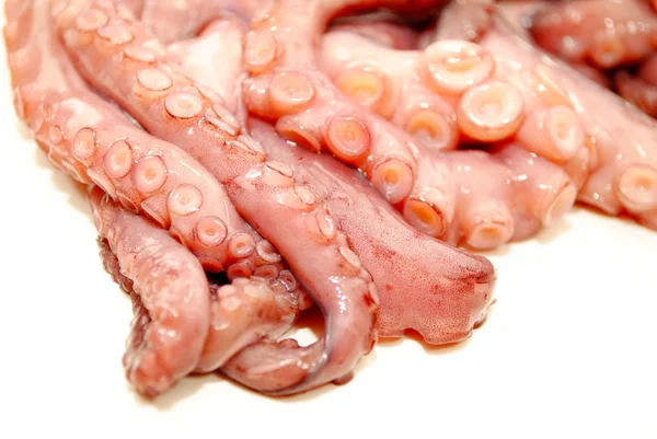 Octopus tentakels klaar om te worden gekookt — Stockfoto