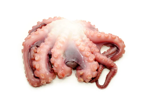 Ruwe octopus klaar om te worden gekookt — Stockfoto