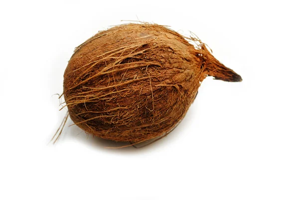 Органический кокосовый орех над белым — стоковое фото