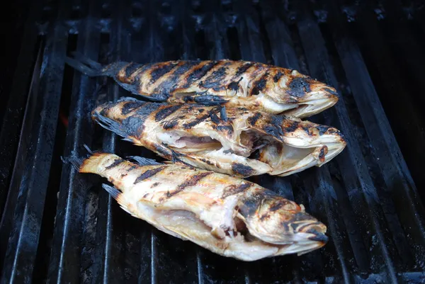 Fresh Pink Snapper Cooked on a Grill — Stock Photo, Image