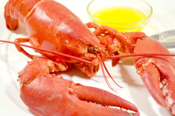 Het Eten Van Een Heerlijke Gekookte Kreeft Met Gesmolten Boter — Stockfoto