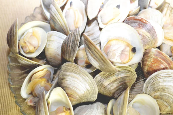Cooked Whole Belly Steamer Clams — Stock Photo, Image