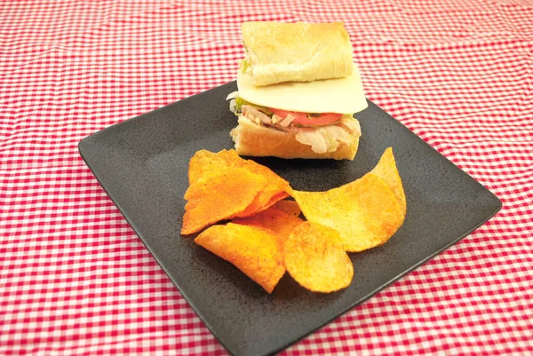 Turkey Sandwich Plated Bbq Chips — Stock Photo, Image