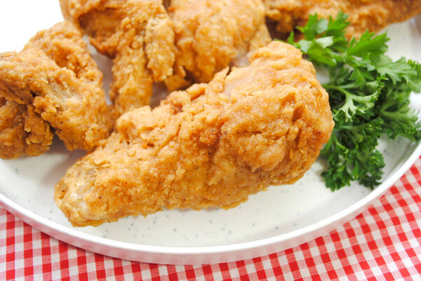 Close Up of a Southern Fried Chicken Leg in a Picnic Setting